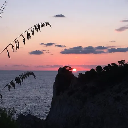 L'olla Holiday home Cala Ratjada (Mallorca)